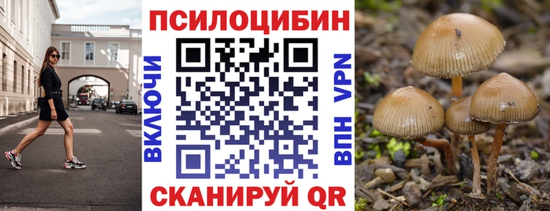 Псилоцибиновые грибы Psilocybine cubensis  OMG зеркало  Волгодонск  что такое  