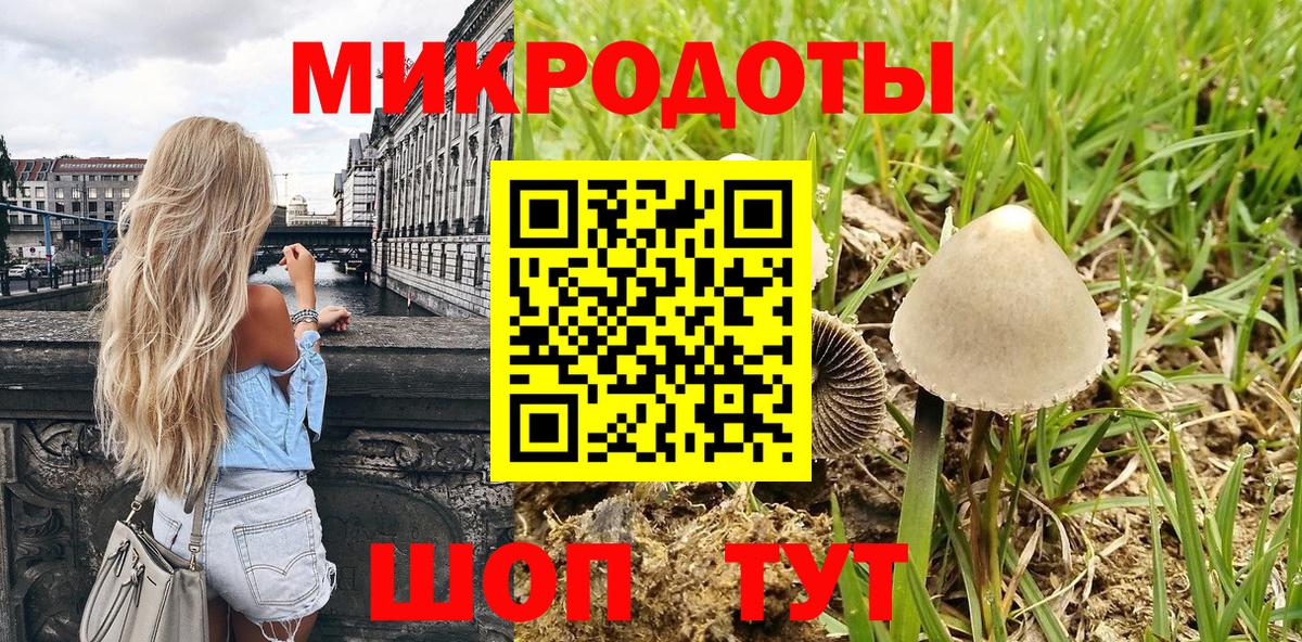 Псилоцибиновые грибы прущие грибы Волгодонск